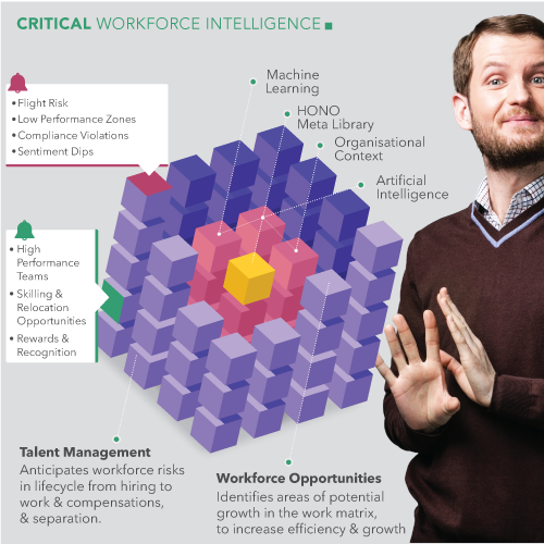 HONO- Transform - Critical Workforce Intelligence - Future proofing & Opportunities